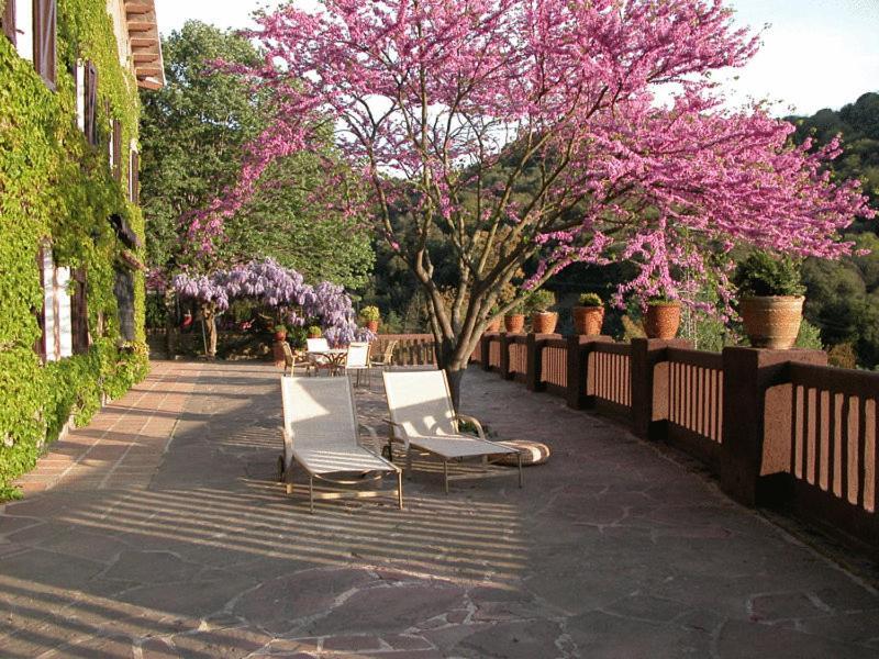 Masia Vista Hermosa บัญโรมานัส ภายนอก รูปภาพ