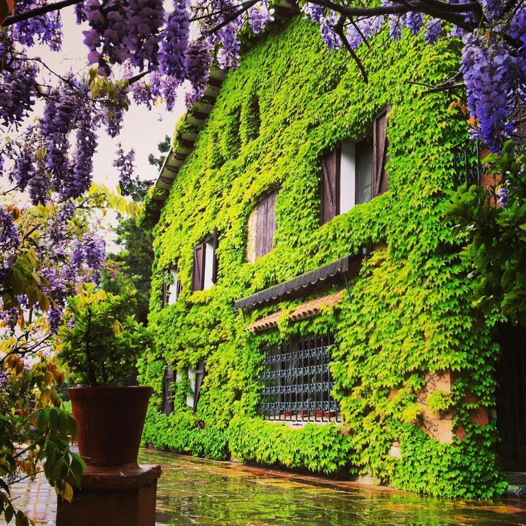 Masia Vista Hermosa บัญโรมานัส ภายนอก รูปภาพ