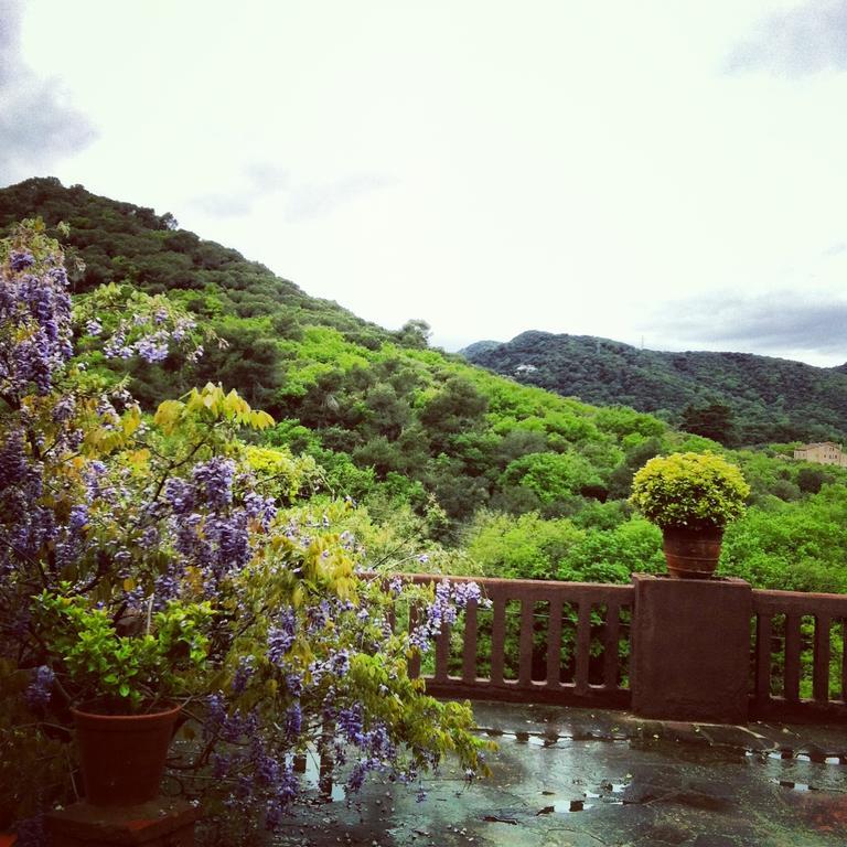 Masia Vista Hermosa บัญโรมานัส ภายนอก รูปภาพ