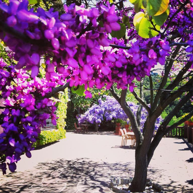 Masia Vista Hermosa บัญโรมานัส ภายนอก รูปภาพ
