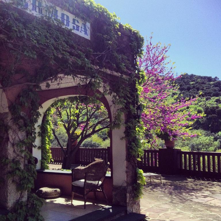 Masia Vista Hermosa บัญโรมานัส ภายนอก รูปภาพ
